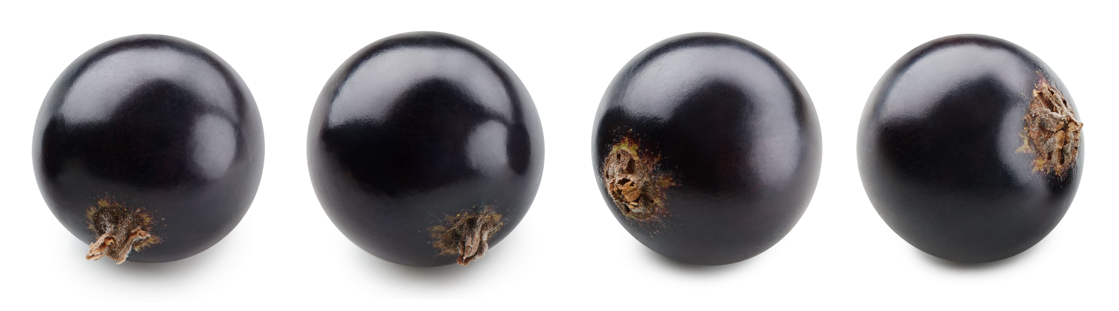Blackcurrant