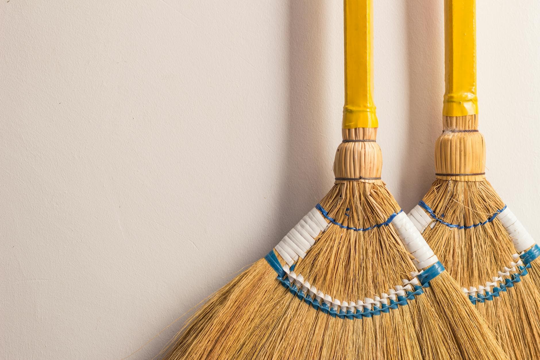 Dyer's Broom