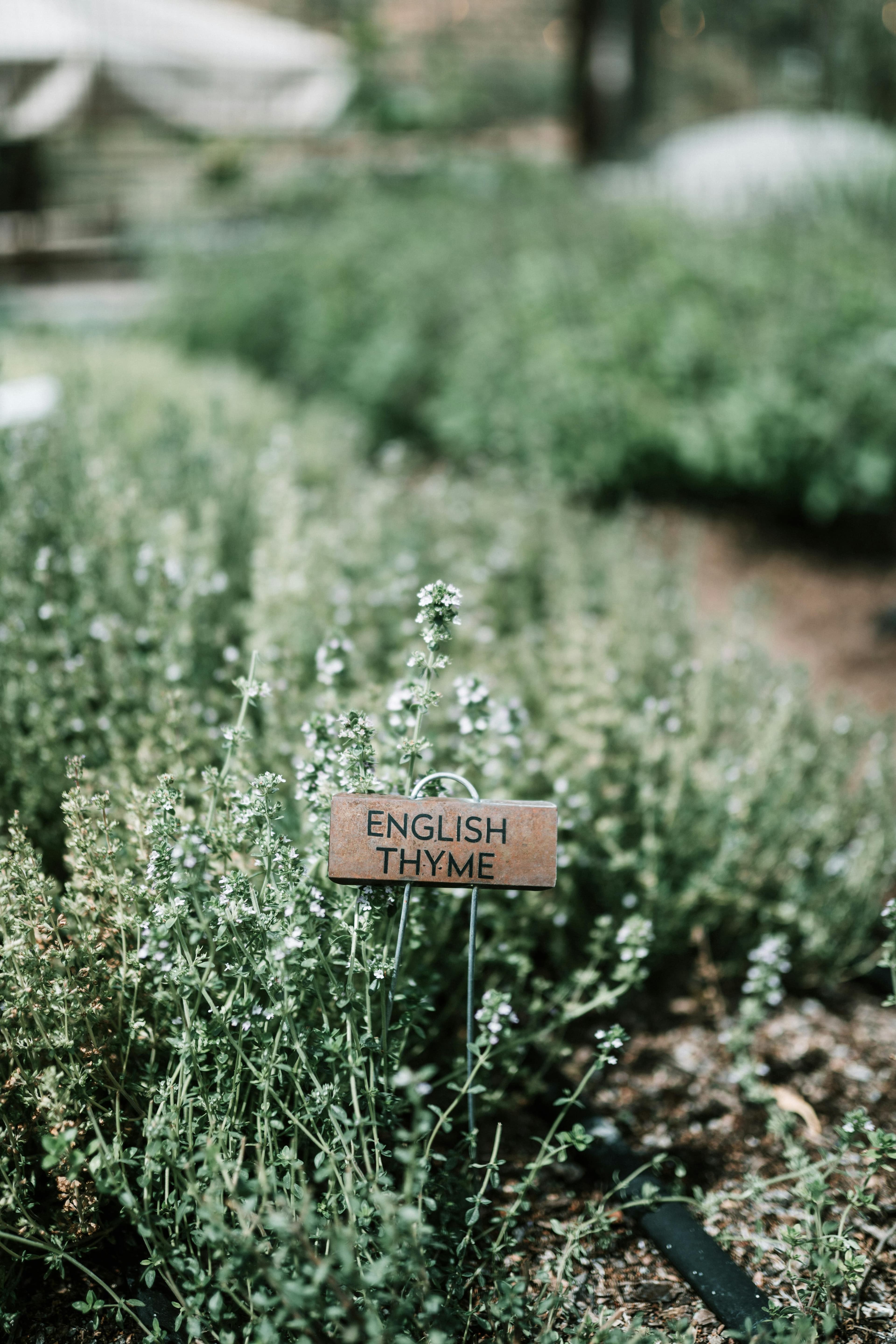 Herb garden with identification signage