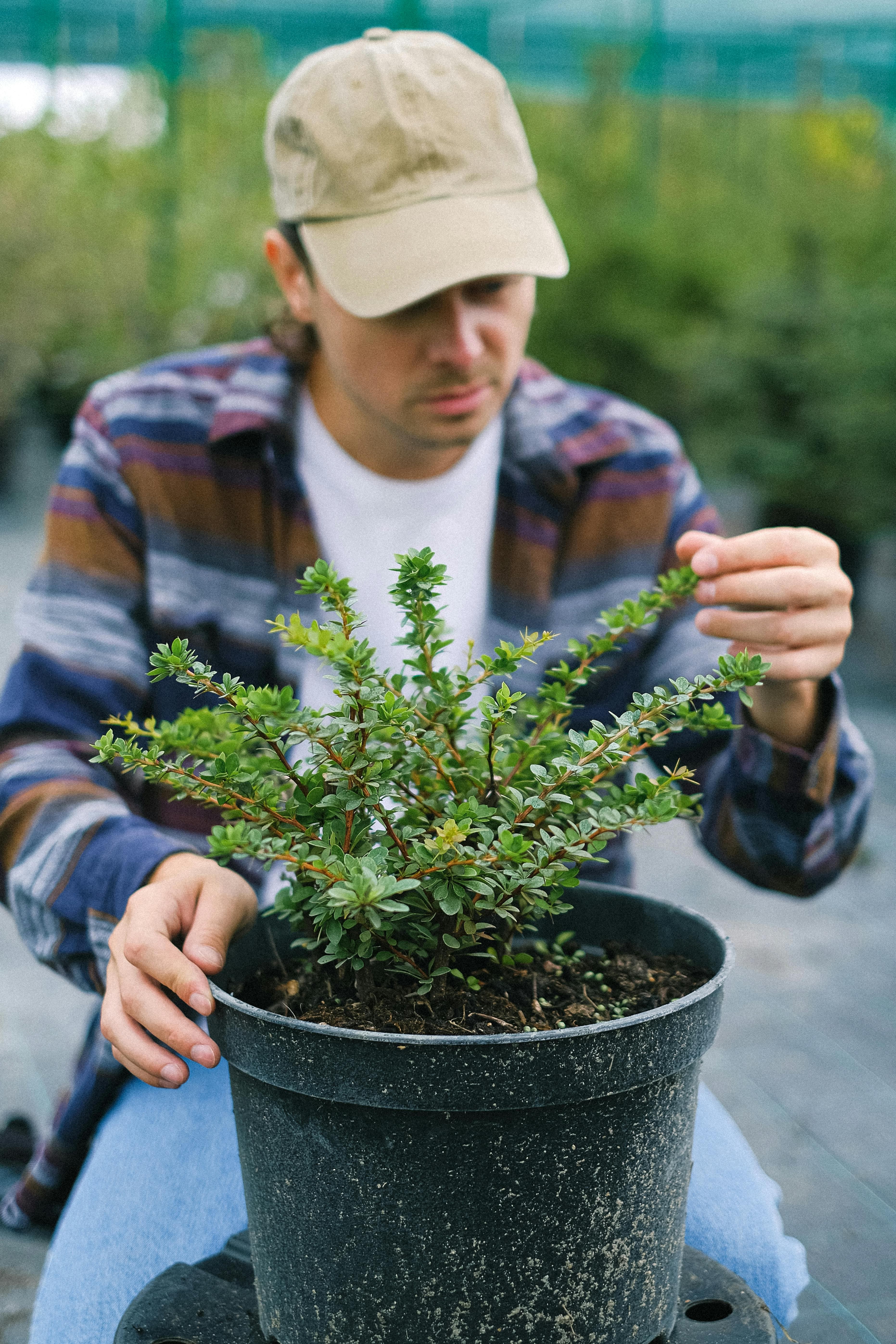 Exploring a botanical nursery and learning plant identification